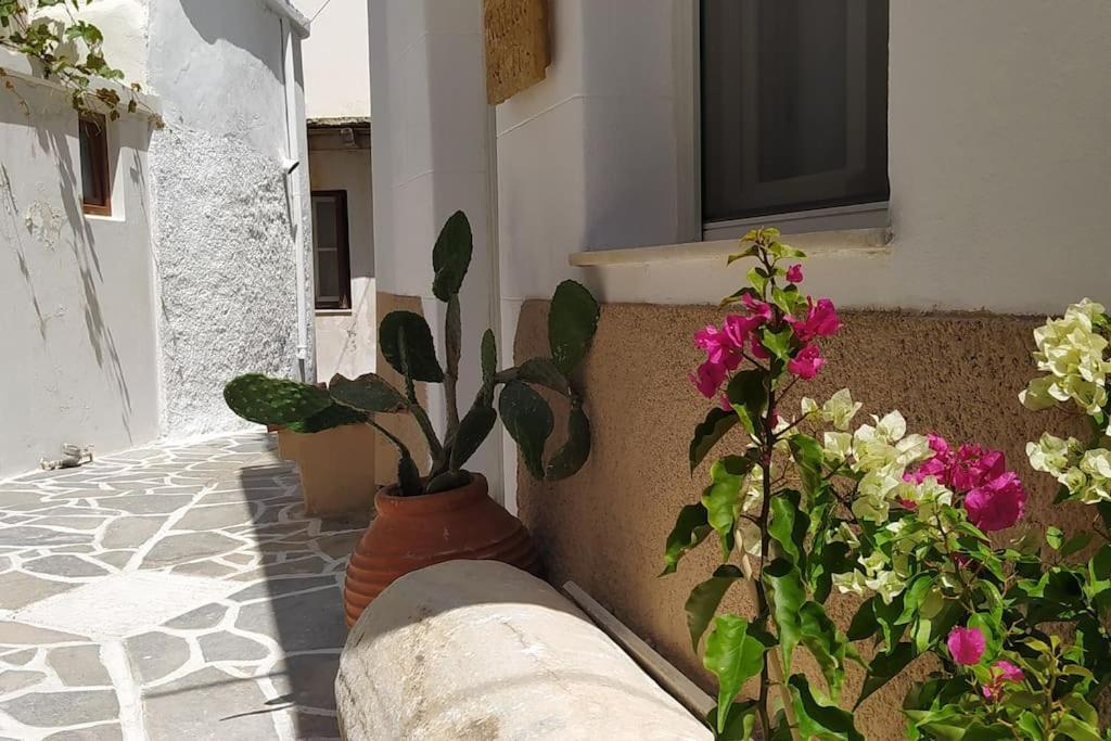 Naxion Esti - Διαμονή Στην Παλιά Χώρα Της Νάξου Villa Naxos City Exterior photo